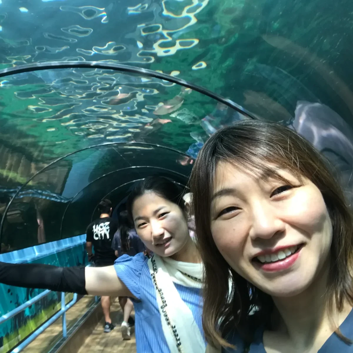 長木 愛